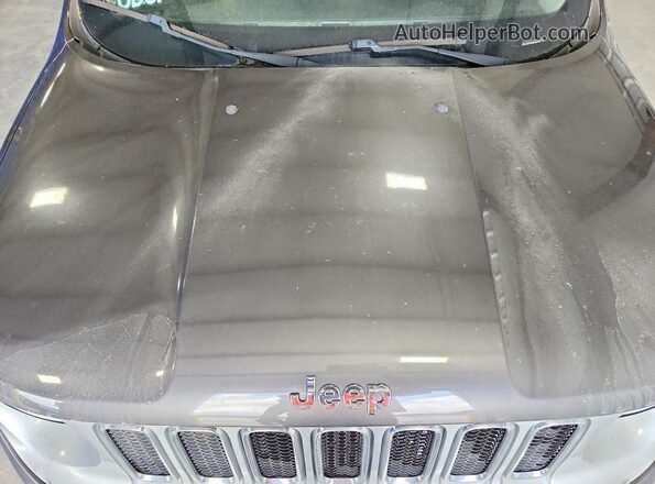 ZACCJADT3GPE36768 2016 JEEP RENEGADE Gray Vista del compartimento del motor