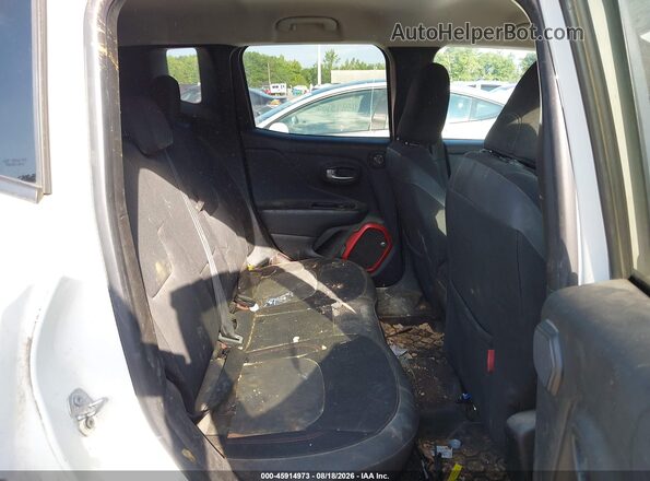 ZACCJBCB1HPE45601 2017 JEEP RENEGADE Белый Вид наклейки с VIN-кодом