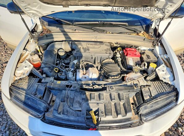 ZACNDFAN6P3A06727 2023 DODGE OTHER Белый Вид задней части салона