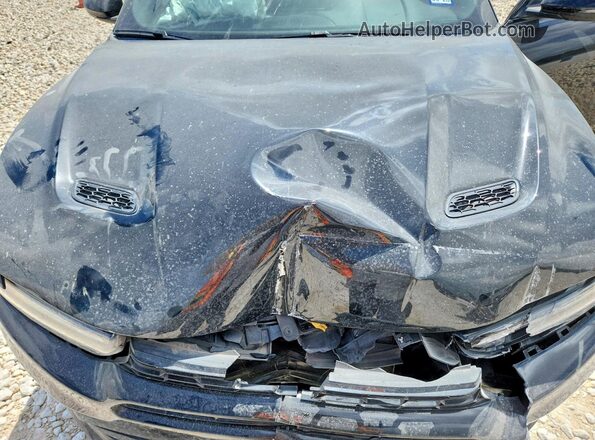 ZACNDFAN6R3A16046 2024 DODGE OTHER Black Вид задньої частини салону