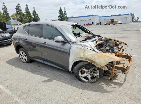 ZACNDFAN6R3A41464 2024 DODGE OTHER Gray Առջևի աջ