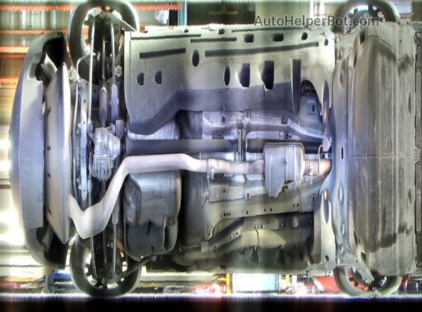 ZACNDFAN7P3A05425 2023 DODGE OTHER Black Սալոնի 360 աստիճան տեսք