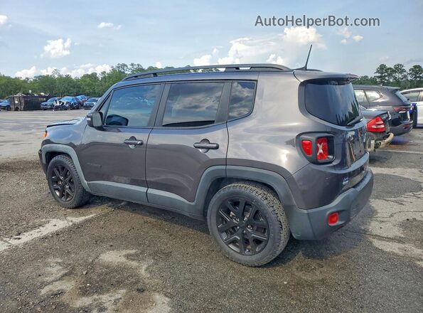 ZACNJABB2KPK00427 2019 JEEP RENEGADE Gray Trasero izquierdo