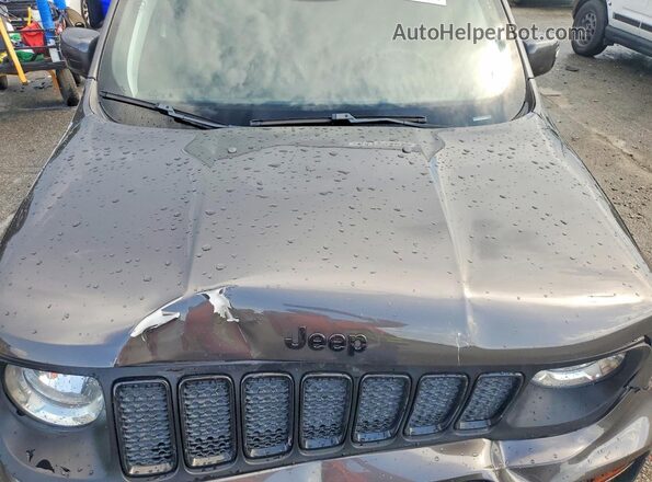 ZACNJABB2KPK00427 2019 JEEP RENEGADE Gray Vista interior trasera