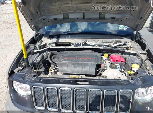 ZACNJBAB0KPK42120 2019 JEEP RENEGADE Gray Widok z tyłu