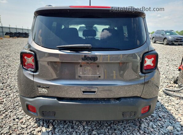 ZACNJBAB9LPL00260 2020 JEEP RENEGADE Gray Widok z tyłu