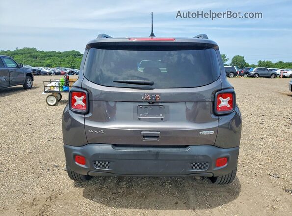 ZACNJBBB0KPK46554 2019 JEEP RENEGADE Gray Widok z tyłu