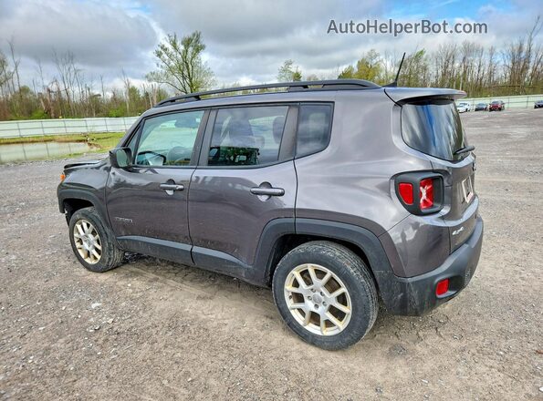ZACNJBBB1KPK93253 2019 JEEP RENEGADE Gray Задня ліва чверть