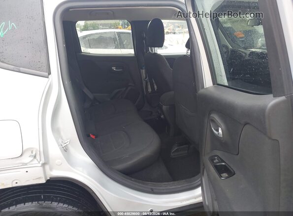 ZACNJBBB6LPL29679 2020 JEEP RENEGADE Silver Вид наклейки з VIN-кодом