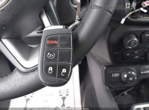 ZACNJBBB6LPL29679 2020 JEEP RENEGADE Silver Вид панелі приладів