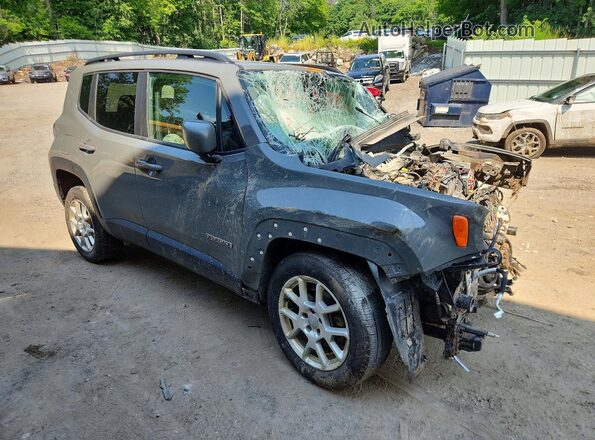 ZACNJBBB6LPL97979 2020 JEEP RENEGADE Gray Հետևի տեսք