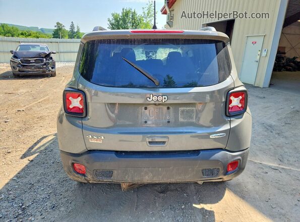 ZACNJBBB6LPL97979 2020 JEEP RENEGADE Gray Սալոնի հետևի տեսք