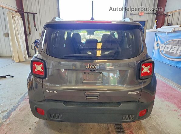 ZACNJBBB7LPL98526 2020 JEEP RENEGADE Серый Вид сзади