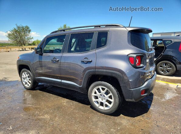ZACNJBBB9KPK04206 2019 JEEP RENEGADE Gray Tył lewy