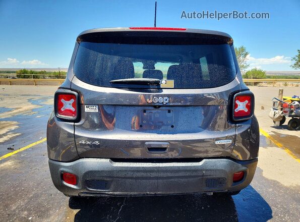 ZACNJBBB9KPK04206 2019 JEEP RENEGADE Gray Widok z tyłu