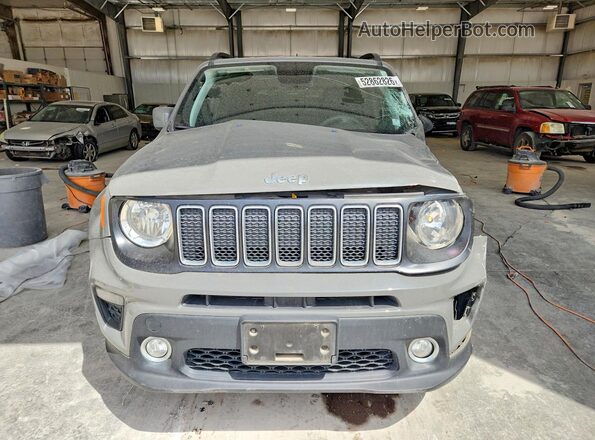 ZACNJBBBXKPK41796 2019 JEEP RENEGADE Gray Widok z przodu