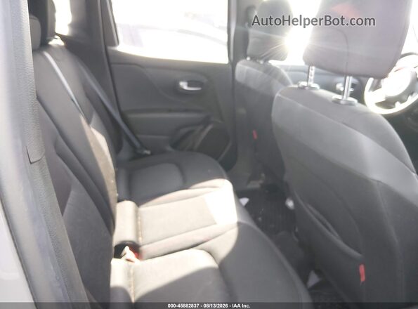 ZACNJBC12LPL03537 2020 JEEP RENEGADE Серый Вид наклейки с VIN-кодом