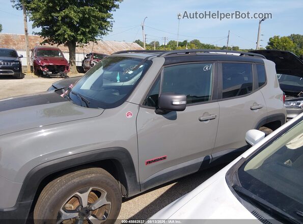 ZACNJBC12LPL03537 2020 JEEP RENEGADE Серый Панорамный вид салона 360°