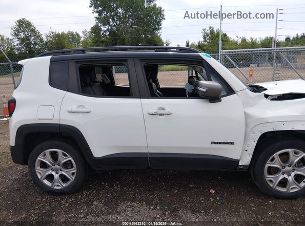 ZACNJBD13KPJ92770 2019 JEEP RENEGADE Белый Вид щитка приборов