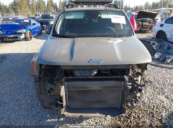 ZACNJCBB4MPN12618 2021 JEEP RENEGADE Серый Вид задней части салона