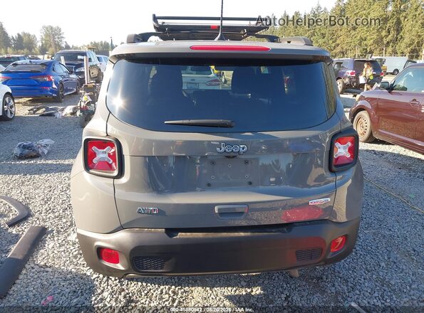 ZACNJCBB4MPN12618 2021 JEEP RENEGADE Серый 
