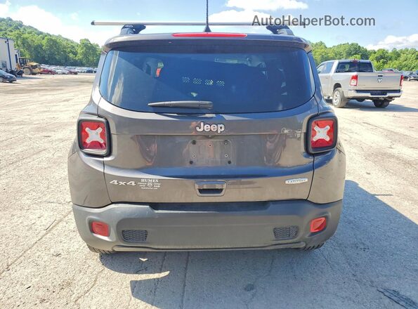ZACNJDBB5MPM56243 2021 JEEP RENEGADE Gray Widok z tyłu
