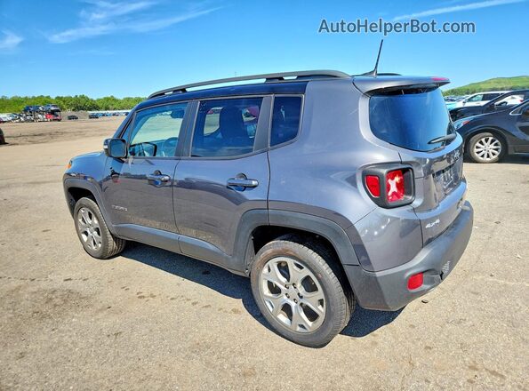 ZACNJDD17PPP26632 2023 JEEP RENEGADE Gray უკანა მარცხენა