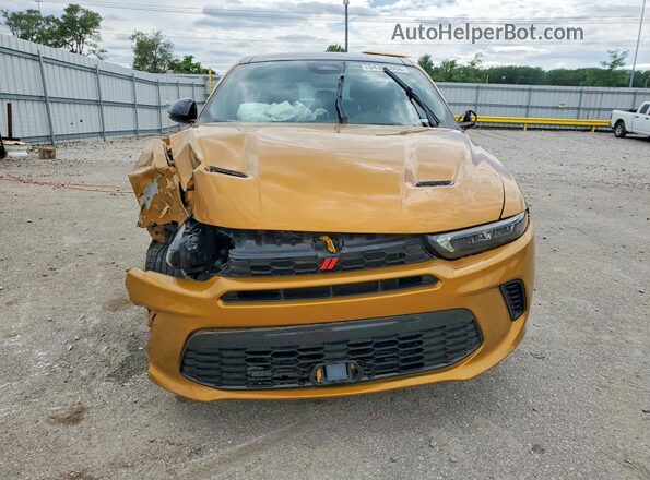 ZACPDFDW9R3A12392 2024 DODGE OTHER Золотой Вид спереди