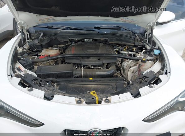 ZASFAKAN6J7B90514 2018 ALFA ROMEO STELVIO Белый Вид сзади