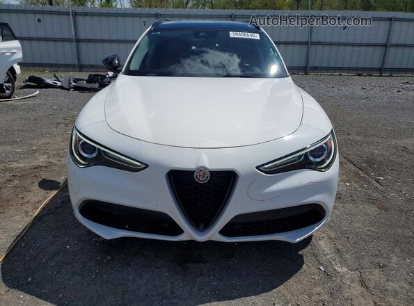 ZASPAJAN3L7C93746 2020 ALFA ROMEO STELVIO White Vista frontal