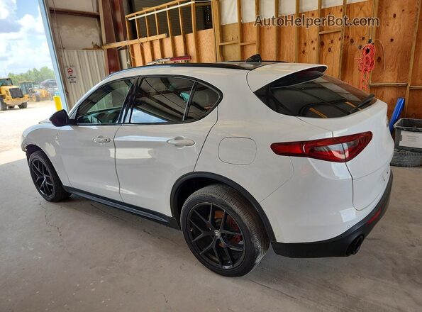 ZASPAJAN7K7C41809 2019 ALFA ROMEO STELVIO Белый Задняя левая четверть