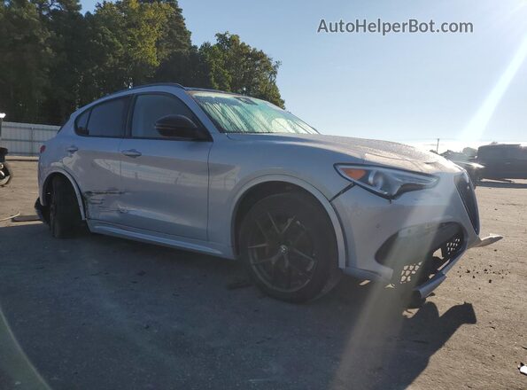 ZASPAJAN8L7C91166 2020 ALFA ROMEO STELVIO Silver Vista del salpicadero