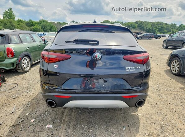 ZASPAKAN4K7C70562 2019 ALFA ROMEO STELVIO Черный Вид сзади