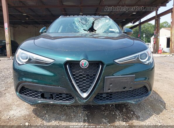ZASPAKAN5M7D11834 2021 ALFA ROMEO STELVIO Green Vista del cuadro de instrumentos