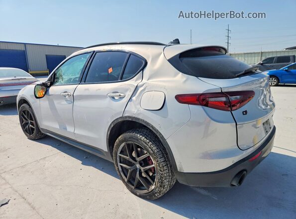 ZASPAKAN8L7C89410 2020 ALFA ROMEO STELVIO Серебряный Задняя левая четверть