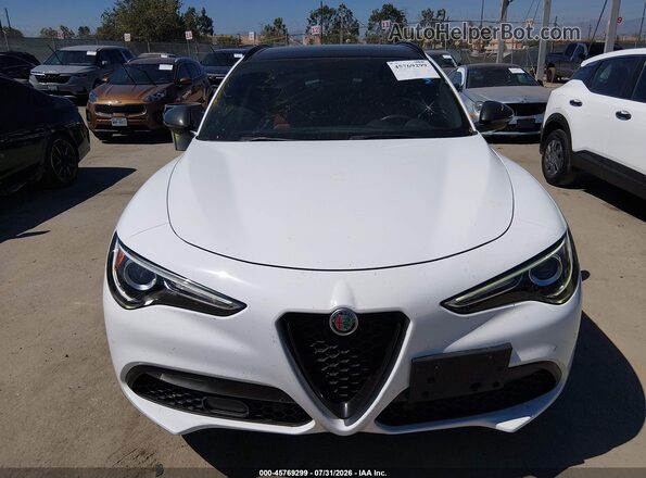 ZASPAKBN0K7C42692 2019 ALFA ROMEO STELVIO White Instrument cluster view