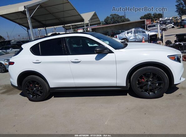 ZASPAKBN0K7C42692 2019 ALFA ROMEO STELVIO White Rear interior view
