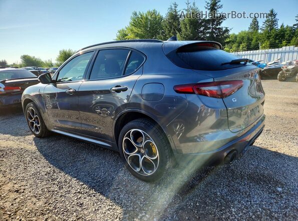 ZASPAKBN0M7D16762 2021 ALFA ROMEO STELVIO Серый Задняя левая четверть