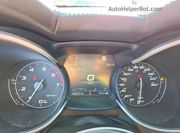 ZASPAKBN0M7D16762 2021 ALFA ROMEO STELVIO Серый Вид щитка приборов