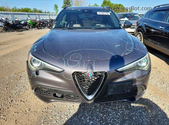 ZASPAKBN0M7D16762 2021 ALFA ROMEO STELVIO Серый Вид спереди