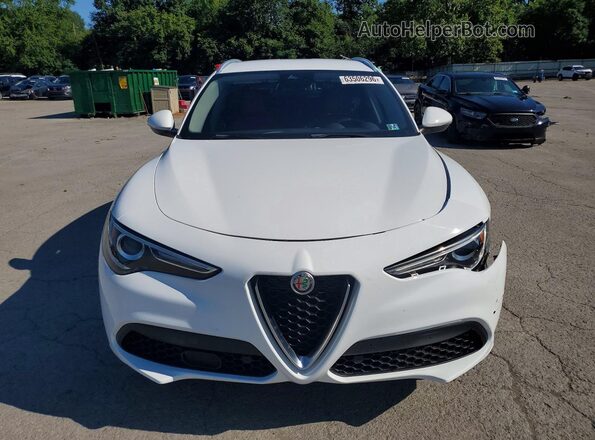 ZASPAKBN3L7C88079 2020 ALFA ROMEO STELVIO White Front view