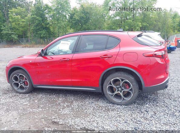 ZASPAKBN6N7D26603 2022 ALFA ROMEO STELVIO Red Панорамний вид салону 360°