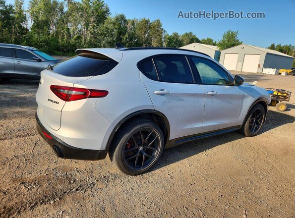 ZASPAKBN7L7C88053 2020 ALFA ROMEO STELVIO White Հետևի աջ