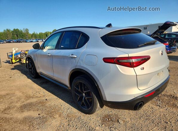 ZASPAKBN7L7C88053 2020 ALFA ROMEO STELVIO White Հետևի ձախ