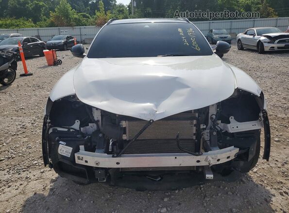 ZASPAKBN7R7D81177 2024 ALFA ROMEO STELVIO Белый Вид спереди