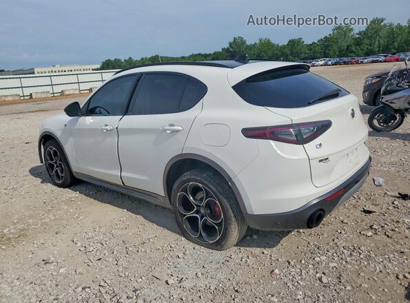 ZASPAKBN7R7D81177 2024 ALFA ROMEO STELVIO Белый Задняя левая четверть