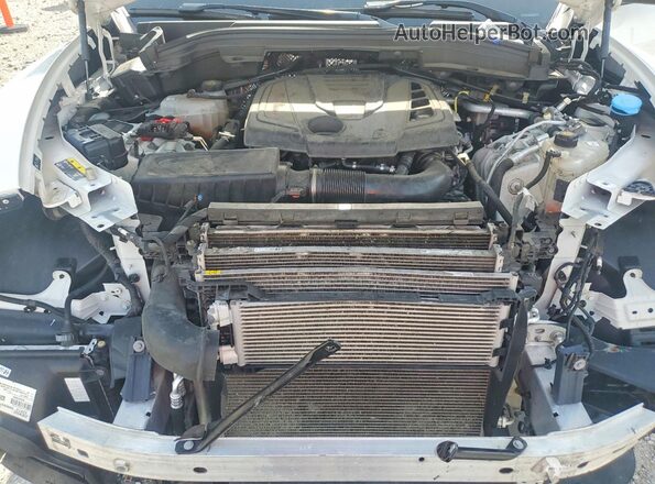 ZASPAKBN7R7D81177 2024 ALFA ROMEO STELVIO Белый Вид задней части салона