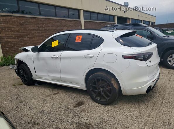 ZASPAKBN8M7D15083 2021 ALFA ROMEO STELVIO White Rear left