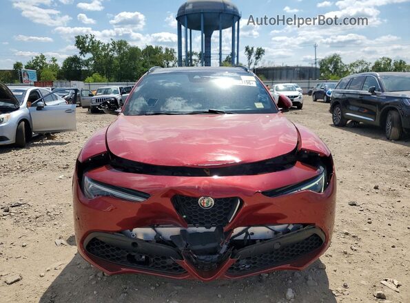 ZASPAKBN9K7C30539 2019 ALFA ROMEO STELVIO Красный Вид сзади