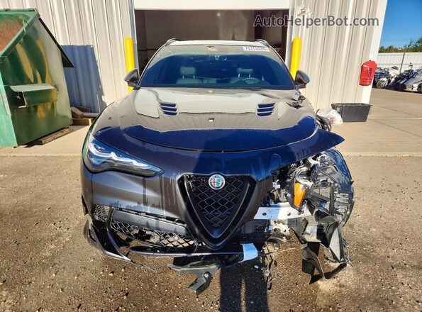 ZASPAKEV0R7D92064 2024 ALFA ROMEO STELVIO Black Widok tylnych siedzeń